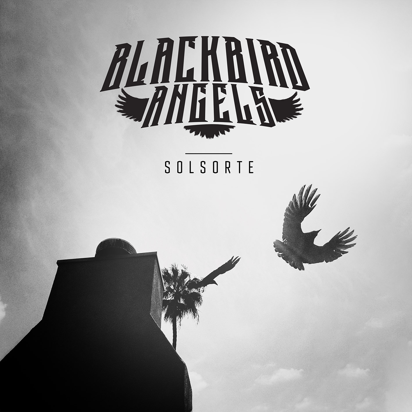 Blackbird Angels - Solsorte